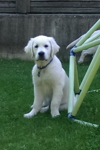 IMAG0531.jpg